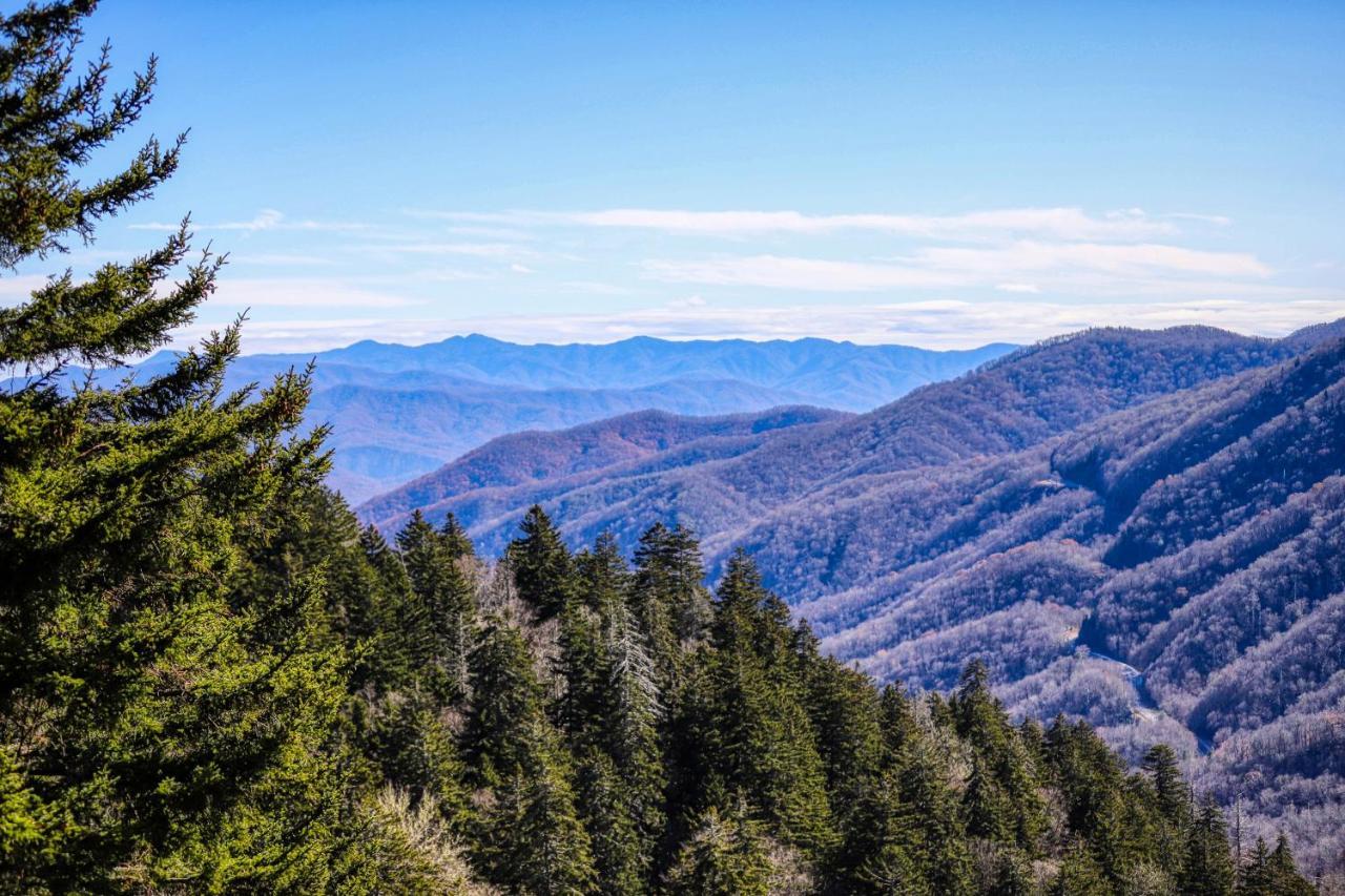 Holly Berry Pigeon Forge Exterior foto